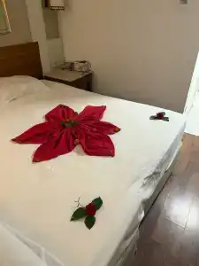 Alba Queen - Ultra All Inclusive - 35