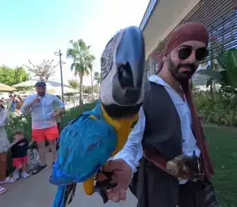 Swandors & Resorts - Kemer - 63