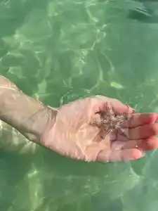 Dubai Marine Beach Resort & Spa - 36