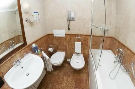 Du Lac Et Du Parc Grand Resort - 95