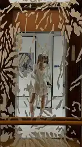 Adagio Premium The Palm - 51