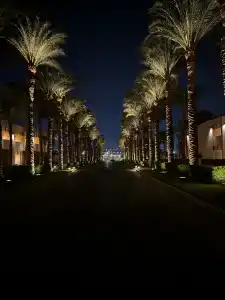 Reef Oasis Beach Aqua Park Resort - 2