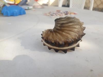 Umm Al Quwain Beach - 51