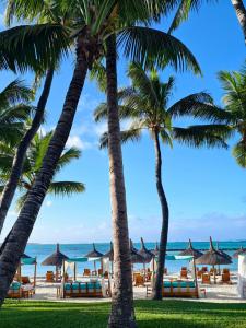 One&Only Le Saint Géran, Mauritius - 64