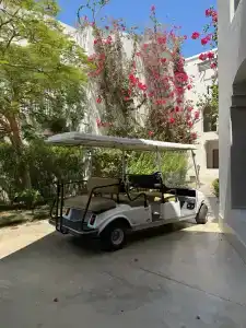 Steigenberger Alcazar - 12