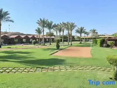 Xperience Golden Sandy Beach - 85