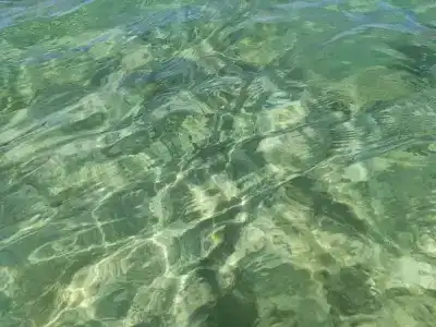 Coral Sea Waterworld Sharm El Sheikh - 41