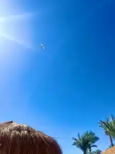 Eden Rock Namaa Bay - 41