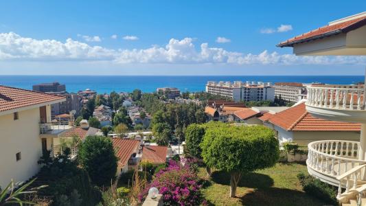 Elite Luxury Suite & Spa - 75