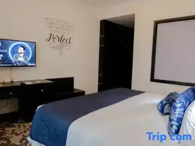 Signature 1 Tecom - 70