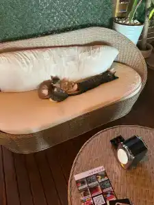 Lara Garden Butik - 99