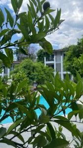 Sherwood Exclusive Kemer - Kids Concept - 60