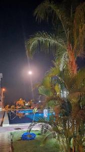 Coral Sea Beach and Aqua Park - 77