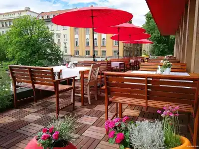 Rila Sofia - 12