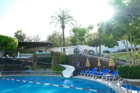 Spring Bitácora - 31