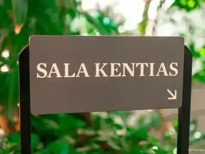 Dreams Jardin Tropical Resort & Spa - 14