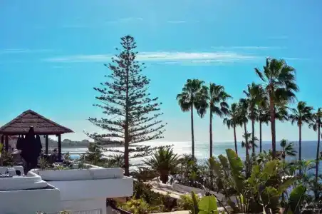 Dreams Jardin Tropical Resort & Spa - 28