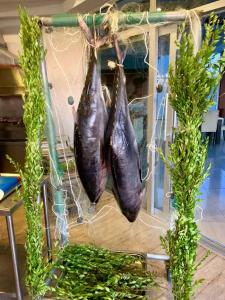 KAILA BEACH All Inclusive - 74