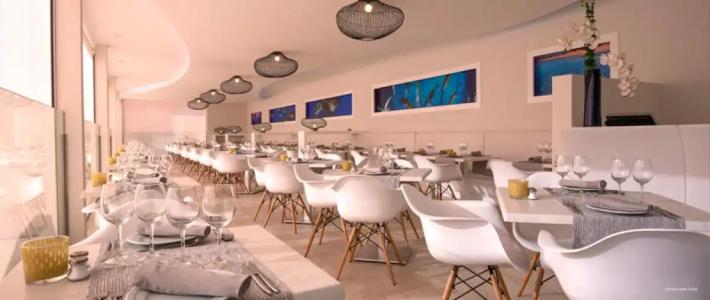 HOVIMA Jardin Caleta - 78