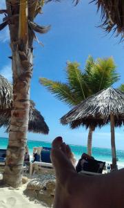 VIK Arena Blanca - 49