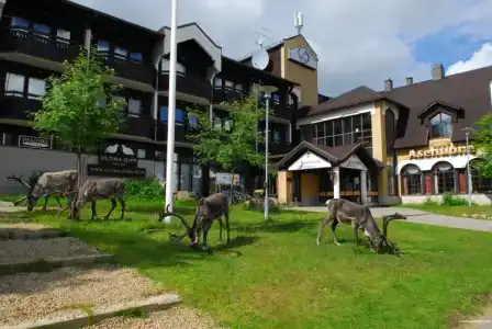 Laplands Oulu