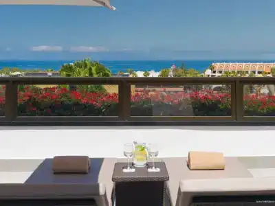 Spring Bitácora - 66