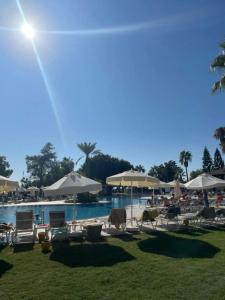 Loxia Comfort Club Side - 67