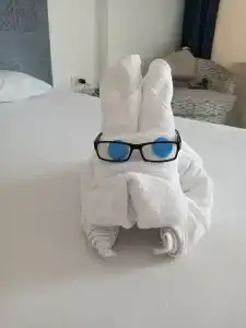 Club Reef Resort & Spa - 97