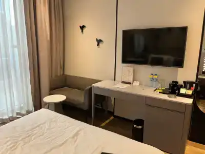 Lemon Tree, Jumeirah Dubai - 11