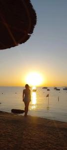 Beach Albatros Resort - 71