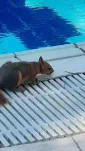 Aquaworld Belek - 53