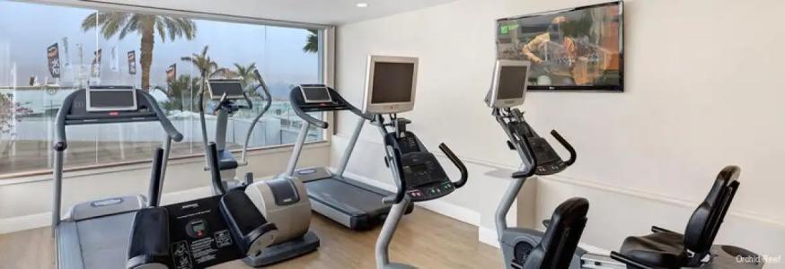 Herbert Samuel The Reef Eilat - 41