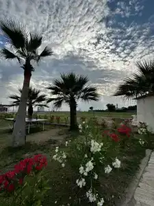 Selectum For Two Side - 82