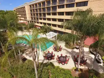 Sheraton Orlando North - 33