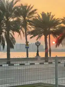 Sharjah Carlton - 73