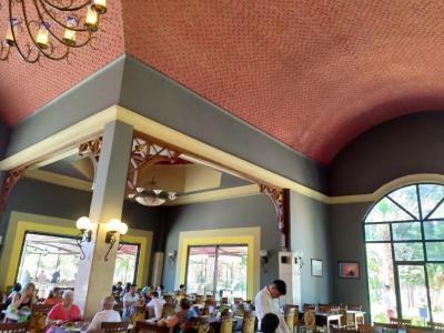 Loxia Comfort Club Side - 87