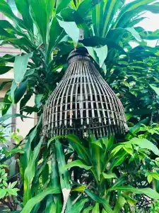 Rabbit Resort Pattaya - 69