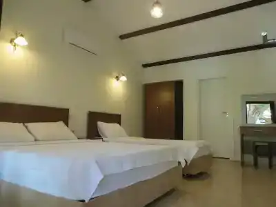 Caretta Caretta Pension - 56