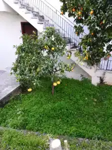 First Class - All Inclusive - 54