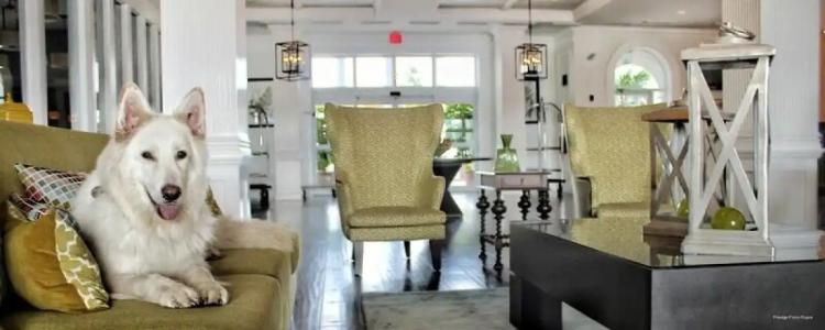 Prestige Oceanview Prince Rupert - 25