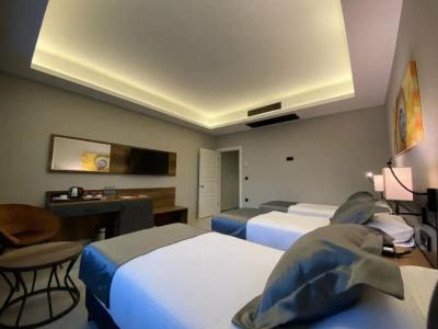 The Plaza Edirne - 23