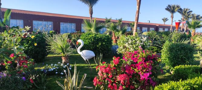 Hawaii Caesar Dreams Resort and Aqua Park - Families and Couples - 31