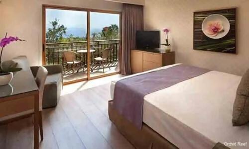 Herbert Samuel The Reef Eilat - 29