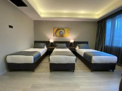 The Plaza Edirne - 9