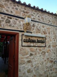 Cedrus - 21