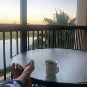 The Colonies at Williamsburg - 22