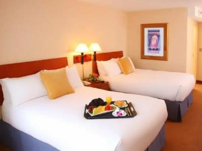 Sheraton Minneapolis Downtown - 12