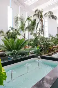 Spring Bitácora - 30