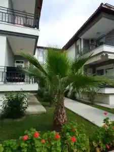 Sunlight Garden - 30