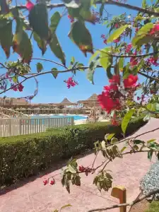 Parrotel Lagoon Waterpark Resort - 25